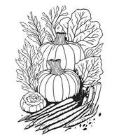 Halloween Pumpkin Coloring Pages.  vegetable coloring page. pumpkin line art. vegetable line art vector