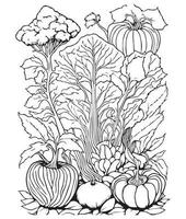 Halloween Pumpkin Coloring Pages.  vegetable coloring page. pumpkin line art. vegetable line art vector