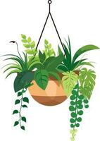 hanging flower pot, plant pot illustration, hanging flower pot, plant pot for home decor vector