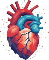 humano corazón vector ilustración en aislado antecedentes