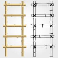 Bamboo ladders in vector. Colored and outline vector