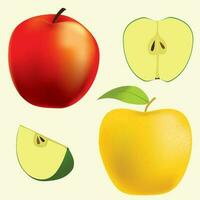 Apples in vector. Slice and half vector