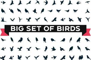 Bird icons set, different types of wild birds flat and modern icon set black and white vector Illustration