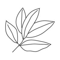 line art leaves botanical illustration vector