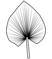 línea Arte hojas botánico ilustración vector
