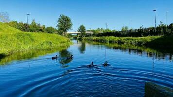 Beautiful nature. River surrounded by green trees and bushes. Glade, park in spring. Birds Ducks. photo