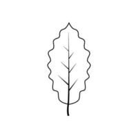 Outline tree leaf vector illustration isolated on white background