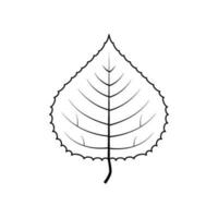 Outline tree leaf vector illustration isolated on white background