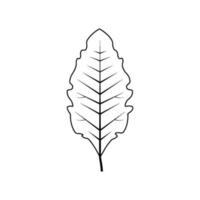 Outline tree leaf vector illustration isolated on white background