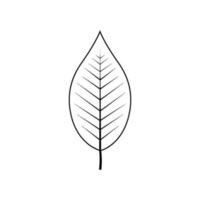 Outline tree leaf vector illustration isolated on white background