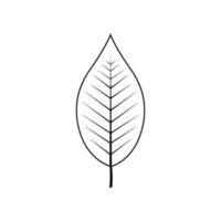 Outline tree leaf vector illustration isolated on white background