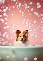 Cute shetland sheepdog dog in a small bathtub with soap foam and bubbles, cute pastel colors, . photo