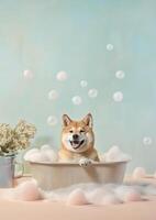 Cute Shiba Inu dog in a small bathtub with soap foam and bubbles, cute pastel colors, . photo