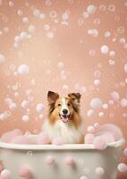 Cute shetland sheepdog dog in a small bathtub with soap foam and bubbles, cute pastel colors, . photo