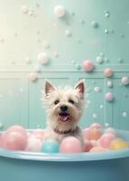 Cute cairn terrier dog in a small bathtub with soap foam and bubbles, cute pastel colors, . photo