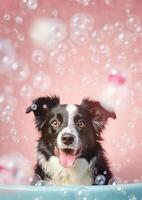 linda frontera collie perro en un pequeño bañera con jabón espuma y burbujas, linda pastel color, generativo ai. foto