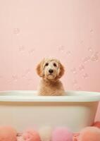 Cute Golden Doodle dog in a small bathtub with soap foam and bubbles, cute pastel colors, . photo