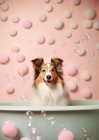 Cute shetland sheepdog dog in a small bathtub with soap foam and bubbles, cute pastel colors, . photo