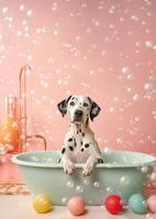 Cute Dalmatian dog in a small bathtub with soap foam and bubbles, cute pastel colors, . photo