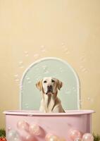 Cute labrador retriever dog in a small bathtub with soap foam and bubbles, cute pastel colors, . photo