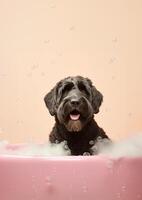 linda negro ruso terrier perro en un pequeño bañera con jabón espuma y burbujas, linda pastel colores, generativo ai. foto