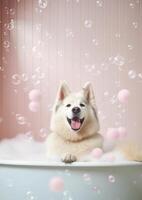 linda Alaska malamute perro en un pequeño bañera con jabón espuma y burbujas, linda pastel colores, generativo ai. foto
