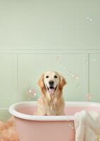 Cute golden retriever dog in a small bathtub with soap foam and bubbles, cute pastel colors, . photo