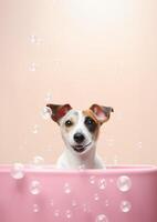 Cute Jack Russell Terrier dog in a small bathtub with soap foam and bubbles, cute pastel colors, . photo