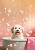 Cute Havanese dog in a small bathtub with soap foam and bubbles, cute pastel colors, . photo