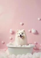 linda americano esquimal perro en un pequeño bañera con jabón espuma y burbujas, linda pastel colores, generativo ai. foto