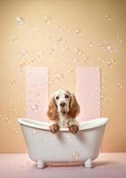 Cute English Cocker Spaniel dog in a small bathtub with soap foam and bubbles, cute pastel colors, . photo