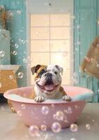 Cute Bulldog dog in a small bathtub with soap foam and bubbles, cute pastel colors, . photo