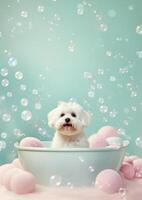 Cute maltese dog in a small bathtub with soap foam and bubbles, cute pastel colors, . photo