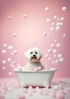 Cute maltese dog in a small bathtub with soap foam and bubbles, cute pastel colors, . photo