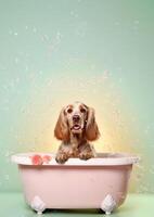 linda Inglés cocker spaniel perro en un pequeño bañera con jabón espuma y burbujas, linda pastel colores, generativo ai. foto