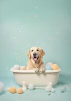 Cute golden retriever dog in a small bathtub with soap foam and bubbles, cute pastel colors, . photo