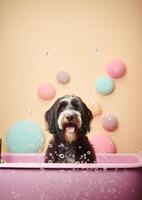 Cute Black Russian Terrier dog in a small bathtub with soap foam and bubbles, cute pastel colors, . photo