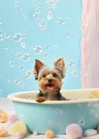 Cute Yorkshire Terrier dog in a small bathtub with soap foam and bubbles, cute pastel colors, generative ai. photo