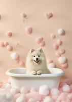 Cute American Eskimo dog in a small bathtub with soap foam and bubbles, cute pastel colors, . photo