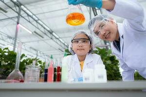 In the closed strawberry garden, a young scientist conducts a strawberry nutrient production experiment with her science class. photo