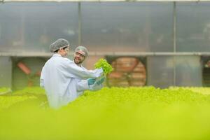 científicos son conductible investigación y desarrollo en el cultivo de orgánico vegetales en un cerrado granja. foto