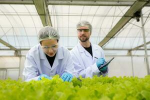 Scientists are conducting research and development on the cultivation of organic vegetables in a closed farm. photo