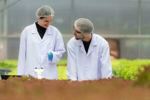 científicos son conductible investigación y desarrollo en el cultivo de orgánico vegetales en un cerrado granja. foto