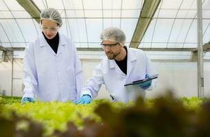 Scientists are conducting research and development on the cultivation of organic vegetables in a closed farm. photo