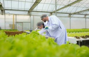 científicos son conductible investigación y desarrollo en el cultivo de orgánico vegetales en un cerrado granja. foto