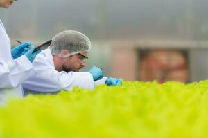 Scientists are conducting research and development on the cultivation of organic vegetables in a closed farm. photo