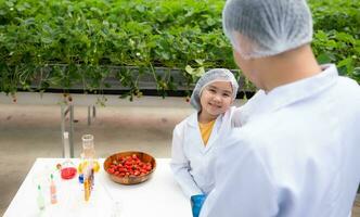 In the closed strawberry garden, a young scientist conducts a strawberry nutrient production experiment with her science class. photo