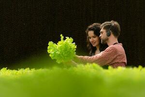 dos pequeño gente de negocios orgánico vegetal jardín propietario actualmente presentando clientes y demostración ellos su orgánico vegetal jardín vía en línea sistema. foto