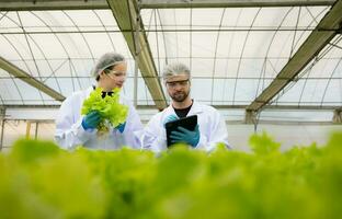 Scientists are conducting research and development on the cultivation of organic vegetables in a closed farm. photo