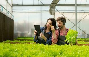 dos pequeño gente de negocios orgánico vegetal jardín propietario actualmente presentando clientes y demostración ellos su orgánico vegetal jardín vía en línea sistema. foto